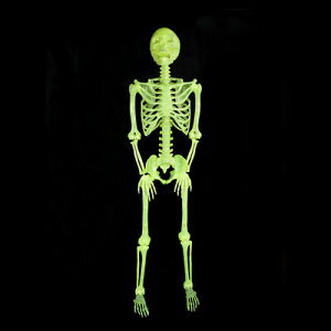 yiz 150cmfBXvC~KCRc(L) y ݕ ݂蕨 G ݂艺 u [ | z[fBXvC ݂ XJ z[nMO nMOXPg nEB h