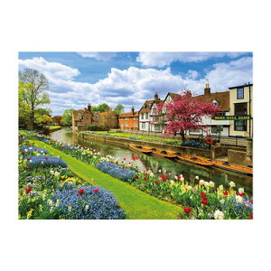 yiz WO\[pY 500s[X J^x[̎U y  ObY ߋ V i I` z