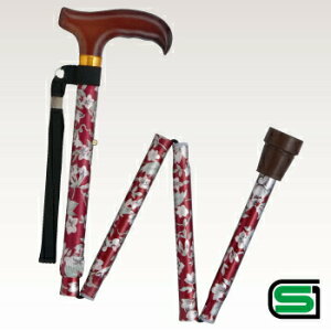 yiz XebLAJ܂肽݉ԕ ԕ y  pi  pi z