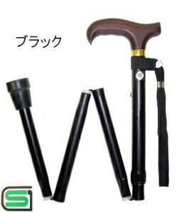 yiz XebLAJ܂肽 ubN y  pi pi  z