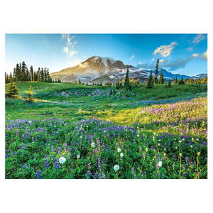 WO\[pY 500s[X yȂ}Eg[jA y V i ObY ߋ  I` z