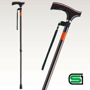 yiz CTSLk y pi  pi z