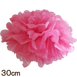 [2_Zbg] psGt[ 30cm t{[Y y  p[eB[ t CeAG Ǌ| p[eB[ObY i ap[eB[ EH[fR[V o[Xf[p