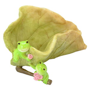 JG I[ig 傫ȗt y CeAG Aj}IuWF u   z