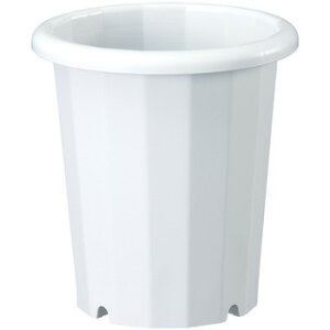 yiz L 10 zCg y K[fjOpi v^[ |bg | Aؔ z