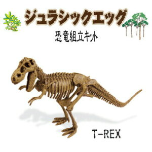 yiz WVbNGbO eBmTEX y   tBMA I` W{ ͌^ gݗăLbg  i ߋ l` z