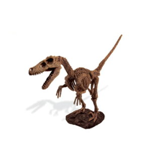 WVbNGbO xLvg y I` ͌^ l`  ߋ tBMA gݗăLbg W{   i z