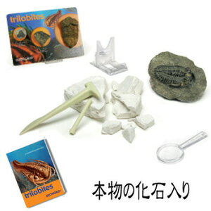 Δ@Zbg Ot y I` ߋ  l` tBMA z