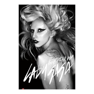 yiz LADY GAGA BORN THIS WAY |X^[ y CeAG l A[eBXg Ll z