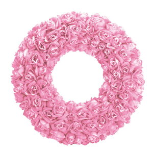 35cm[YfR[V[X sN y  CeAG  [X Ǐ  Cxgpi p[eB[pi hA  񎟉 EFJ[X p[eB[ObY 