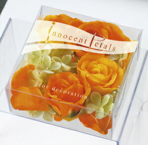 CmZgt[(R[) y F  t[ [tOX A} u^  GA[tbVi[  z