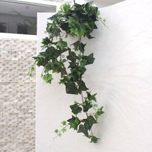 120cm[tXbO(ACr[) lHϗtA y CeAO[ tFCNO[ z