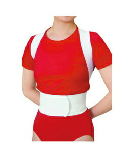 �y���i�z �w�؃L���E�Z�C�x���g L�T�C�Y �y ���p�i �����p�i �ߗ� �z