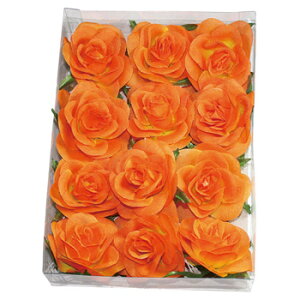 [Ywbh 12֓ IW y lHϗtA fBXvC  u[P A[gt[ EFfBOp[eB[ POP ̑i tFCNt[ Cxgpi CeAt[ 