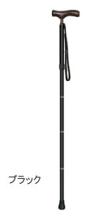 yiz JCmXT-1(܂肽ݏ) ubN y pi pi  z