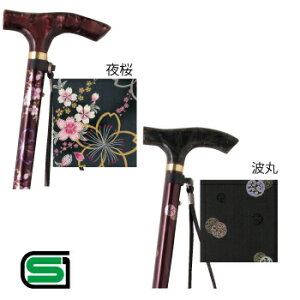 yiz FT4ܐLkXebL g y  pi  pi z