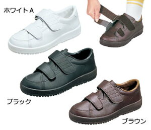 yiz VXebv03 zCgA 22.0cm y C pi V[Y pi z