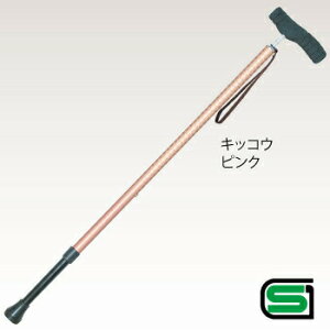 yiz \tgObvSOFT-GA C y  pi pi  z