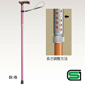 yiz PC(yʏ)S O y pi pi  z