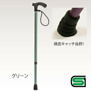 yiz F^߃A~XebLӂӣ sN y pi pi   z