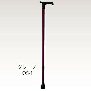 yiz LkOSV[Y ^bNbh y pi pi  z