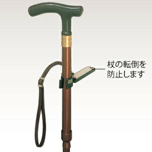 yiz ]΂ʏ m[} Ђt M y  pi pi z