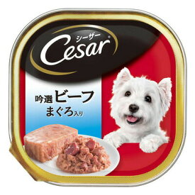 【取寄品】 [6点セット] シーザー 吟選ビーフ まぐろ入り 100g 【 エサ ペットグッズ ウェットフード 犬用品 イヌ ペット用品 ドッグフード 犬の餌 ペットフード 】