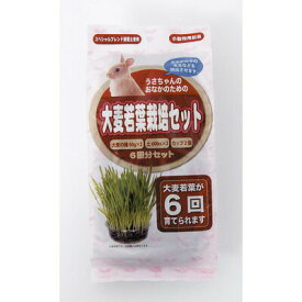 【取寄品】 [3点セット] アラタ うさちゃん用大麦若葉栽培セット 6回分 【 うさぎ用品 ペット用品 ペットグッズ うさぎのエサ 餌 兎 えさ ウサギ ペットフード 】