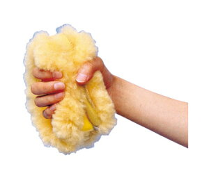 yiz i[VObO nhT|[^[ NR-22 y pi pi h~pi z