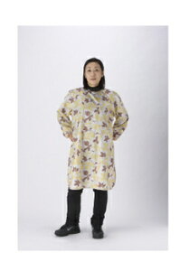 yiz HO|()t [t CG[ y Hpi pi pi z