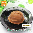 [条件付き送料無料] 森永乳業 チョコレート アイスクリーム 業務用 4リットル 4L 大容量 お買い得 スイーツ パーティー おうち時間 贅沢 お取り寄せ おやつ 子供 絶品 美味しい アレンジ