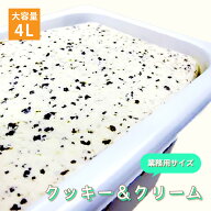 [条件付き送料無料] 森永乳業 クッキー＆クリーム アイスクリーム 業務用 4リットル 4L 大容量 お買い得 …