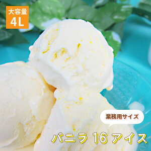 [t] Xi oj 16 ACXN[ Ɩp 4bg 4L e  XC[c p[eB[  ґ   q i  AW