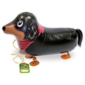 Uo[@D@o[@~j`A_bNX@SAG0883510@SAG08835