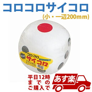 y12I RRTCR  1yJIGEV77516z