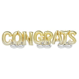 @IuWF@KXsvICŗyƎ@@j@җ@a@EGJXy[X@t@EGfBOzyCŗo[zAGGA[Yt[YLbg RO