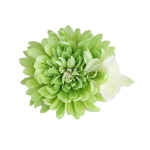    a  wAAW ԏ  ̎q l ؂₩  ߗp  q fB[X ÓT g  l Ǝ w  U wAANZT[ Nbv