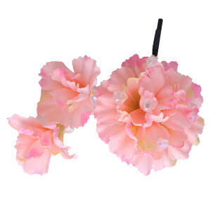 t[  ȒP  ̎q U Nbv l OB a l Ǝ w ÓT fB[X  a fB[X  wAAW  wAANZT[ 䂩  