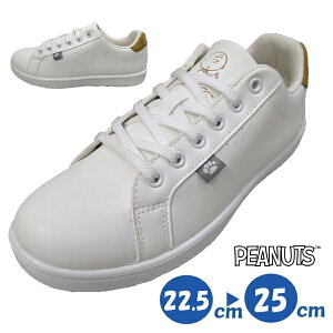 PEANUTS Xk[s[ `[[ C V[Y Vvwl fB[X Xj[J[ ʊw R[gXj[J[ LN^[ 킢 pn8199 22.5cm`25cm