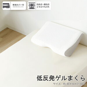 ᔽQ܂ 30×50cm  K 3D\ ᔽ w\ _炩 e Jo[  K@pJo[ bV jbg tBbg 