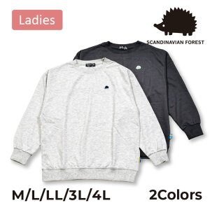 SCANDINAVIAN FOREST(�X�J���W�i�r�A���t�H���X�g) ���f�B�[�X ���уg���[�i�[ �X�E�F�b�g �n���l�Y�~ ���b�y�� ���킢�� �I�[���V�[�Y��