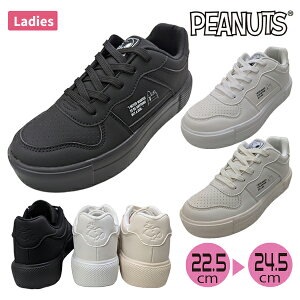 SNOOPY Xk[s[ Xj[J[ C  R[gXj[J[ fB[X wl PEANUTS s[ibc Vv ubN zCg x[W XN[ ʊw  C 22.5-24.5cm PN8299