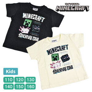 LbY }CNtg }CN  TVc gcvX WjA qǂ {[CY K[Y j̎q ̎q j  MINECRAFT Q[ 110-160 F553AY y1_܂Ń[։z