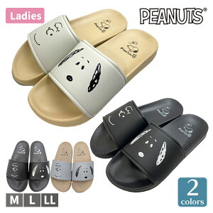 SNOOPY Xk[s[ PEANUTS s[ibc C T_ ANAV[Y V[T_ ^ET_ V[Y fB[X ubN x[W 23-25cm PN8234