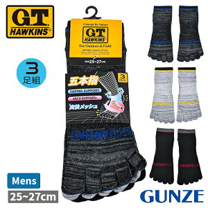 G.T.HAWKINS GT�z�[�L���X �O���[ GUNZE �C�� �\�b�N�X �����Y �a�m 3���g �ܖ{�w �X�j�[�J�[�� �A�[�`�T�|�[�g �e�[�s���O ���b�V�� 25-27cm GHT063