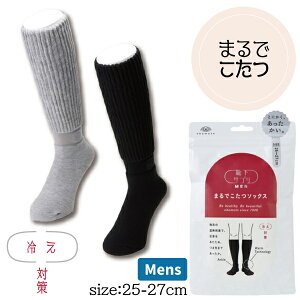 yԌ@zCTv ܂ł\bNX Y am 25-27cm N[\bNX N[ z[\bNX [\bNX ۉ M g OA ₦΍  e