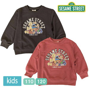 LbY ZT~Xg[g G Sesame Street g[i[  XEFbg ~j qǂ j̎q ̎q q 110 120 y1_܂Ń[։z