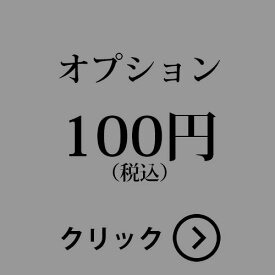 オプション100円分です