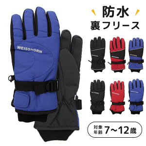 y|Cg10{20~zXL[O[u h LbY WjA  ܖ{w j̎q ̎q q  5 6 7 8 9 10 11 12 w h XL[ Xm{ Xm[{[h t[X 