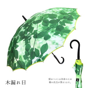 yz damonde ؘR łЂԂĂ߂  V[X ꖇ OXt@Co[ TN݂Ȍ`̍̎P P JP e60cm 16{  Ĝ悤 v ɋ 